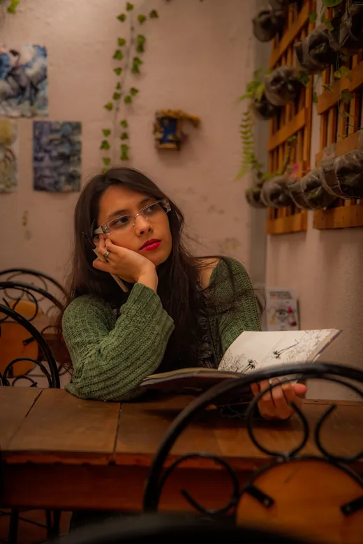 Book ensaios